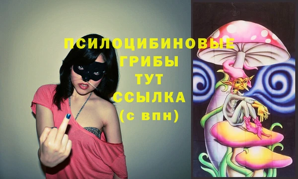 мяу мяу мука Алексеевка