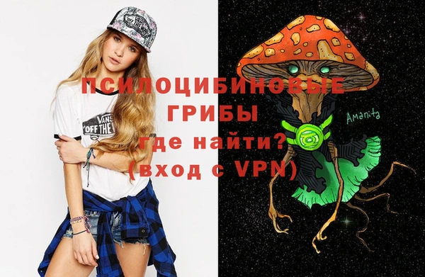 скорость Алексин
